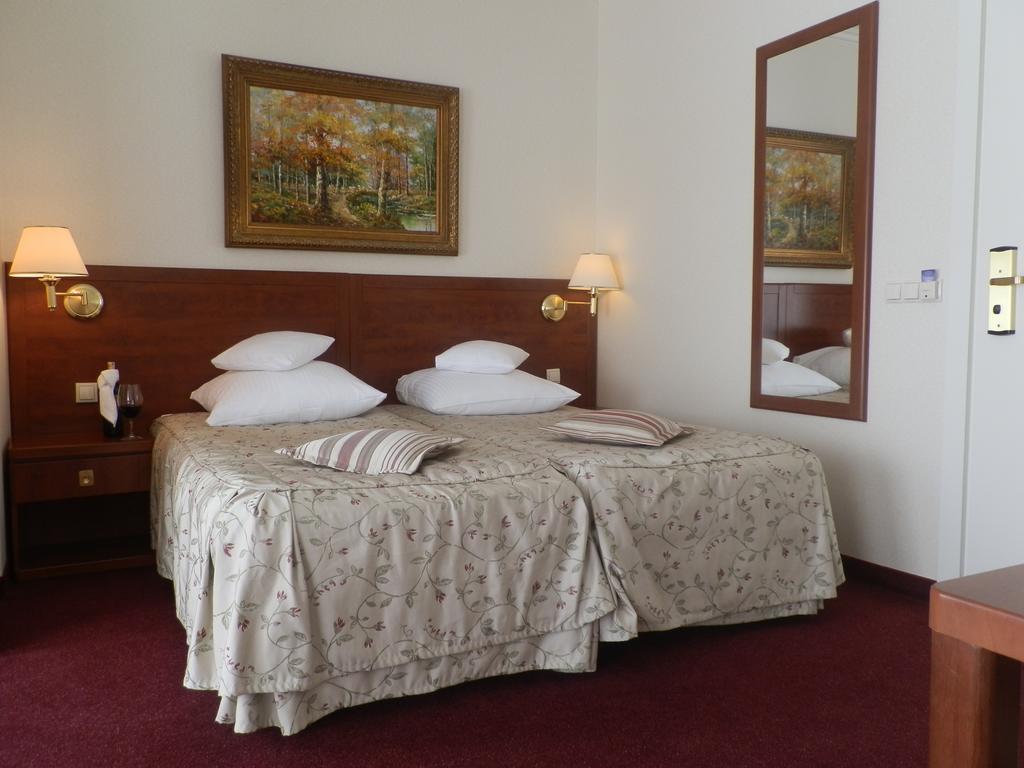 Willa Alexander Resort & Spa - Caloroczny Kryty Basen ミエルノ 部屋 写真