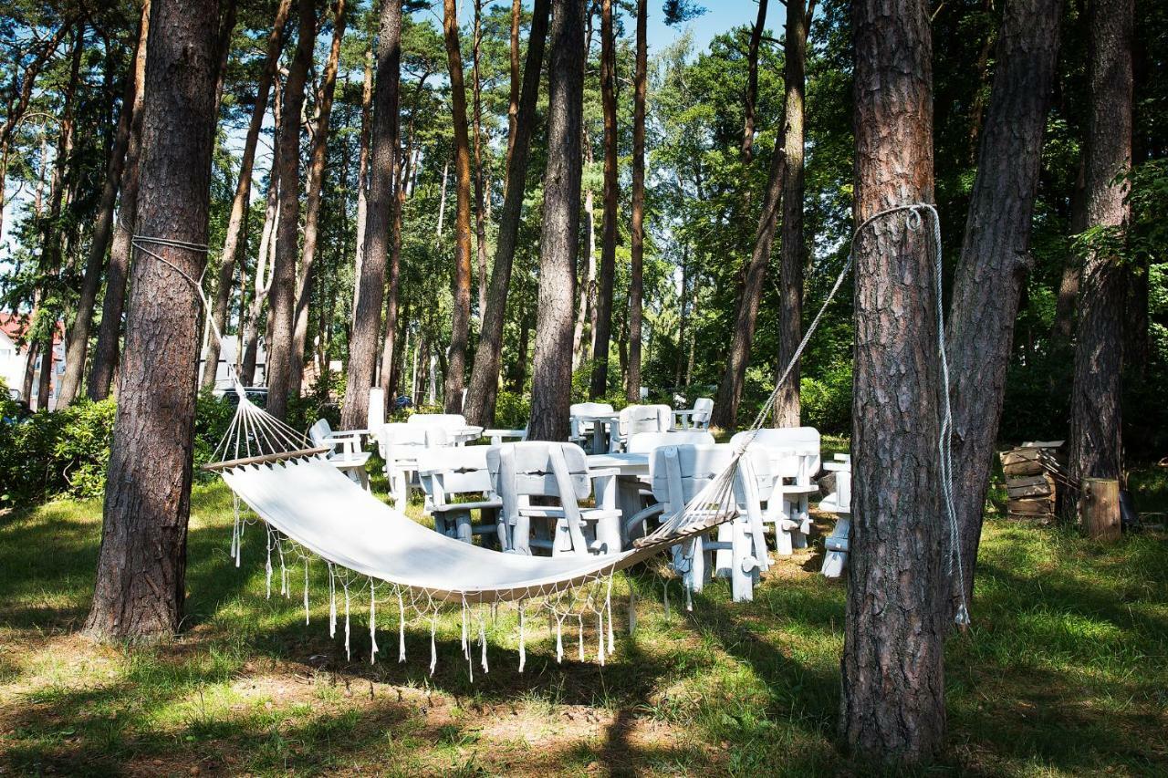 Willa Alexander Resort & Spa - Caloroczny Kryty Basen ミエルノ エクステリア 写真